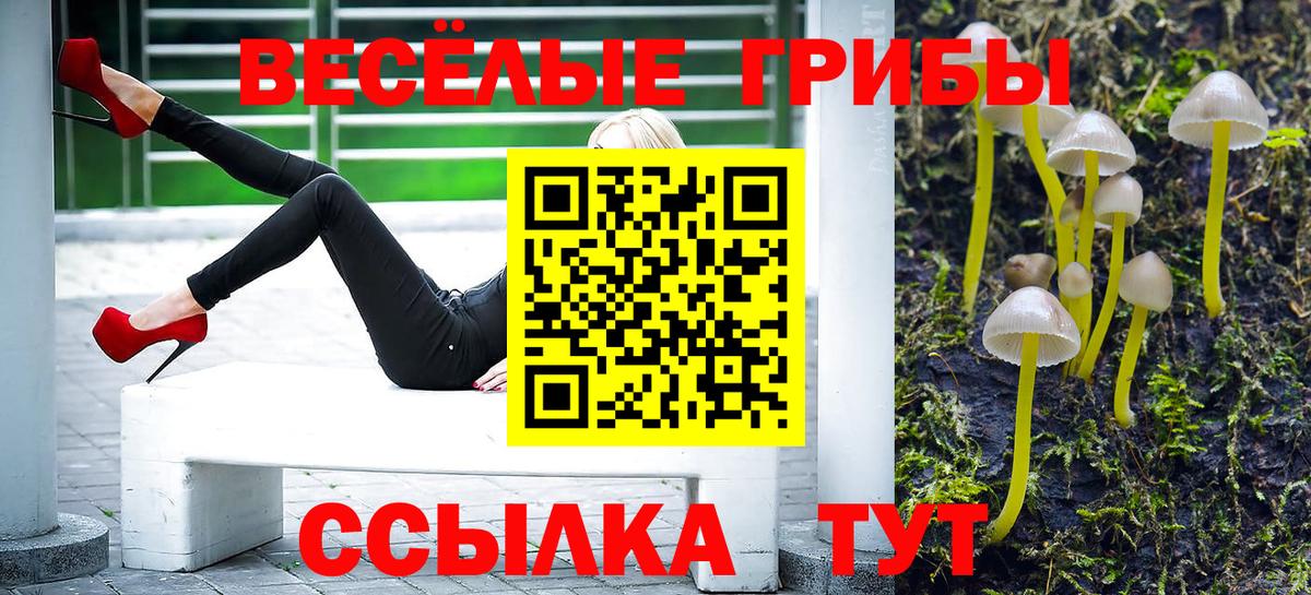 Галлюциногенные грибы мухоморы  Вход с VPN  Карачаевск 
